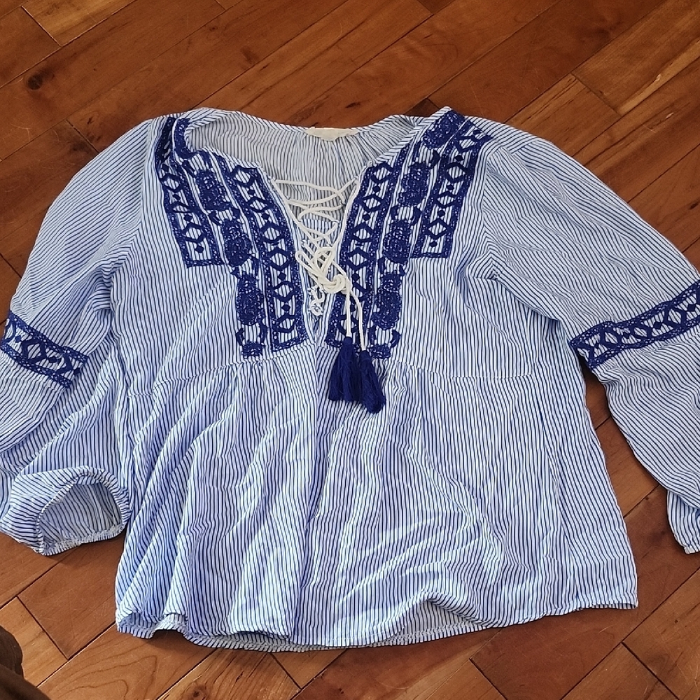 Striped Blue Embroidered Blouse